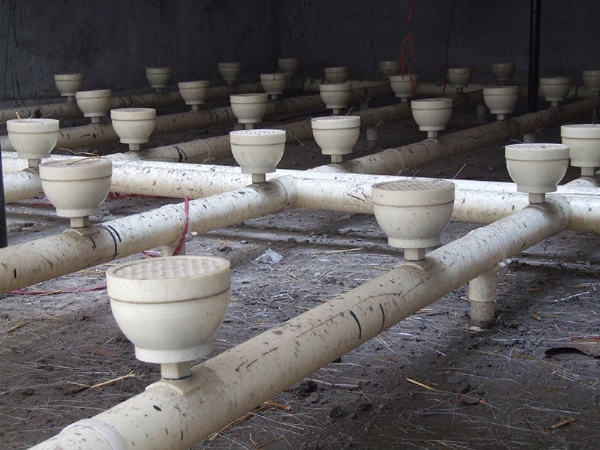 曝氣器動(dòng)態(tài)